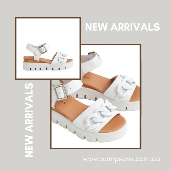 New Arrivals